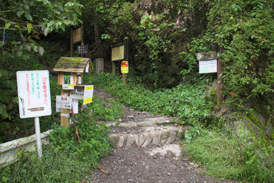 棒ノ嶺～黒山～岩茸石山～惣岳山　縦走