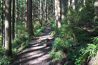 棒ノ嶺～黒山～岩茸石山～惣岳山　縦走