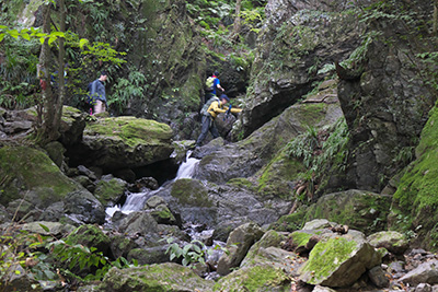 棒ノ嶺～黒山～岩茸石山～惣岳山　縦走