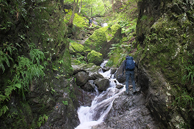 棒ノ嶺～黒山～岩茸石山～惣岳山　縦走