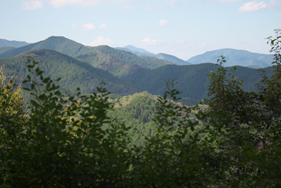 棒ノ嶺～黒山～岩茸石山～惣岳山　縦走